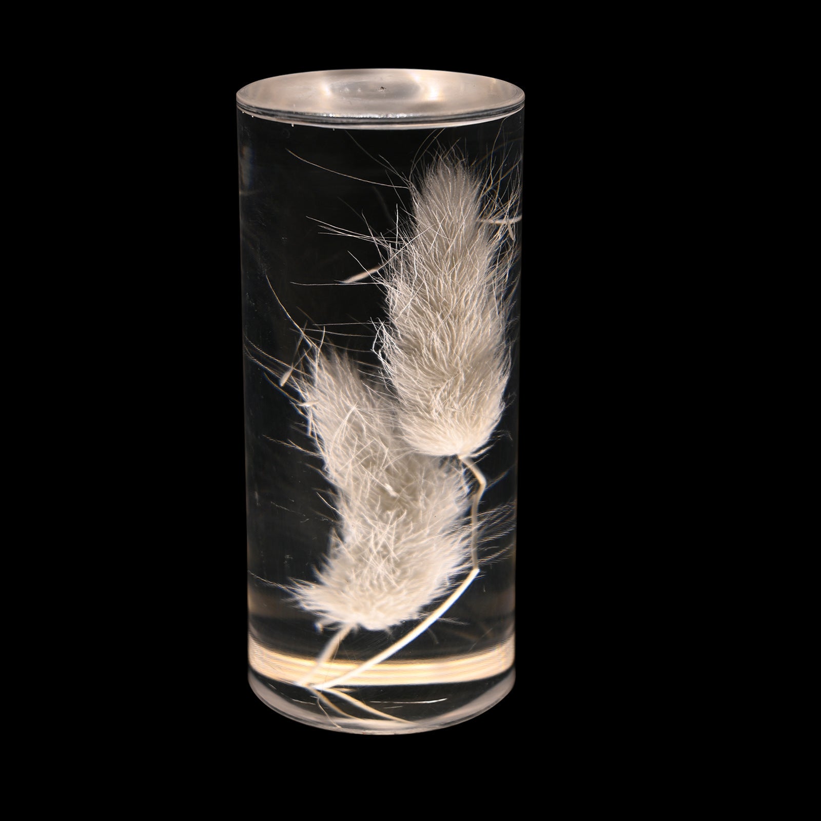 Maison Leonardo™ Floral Aura Lampe